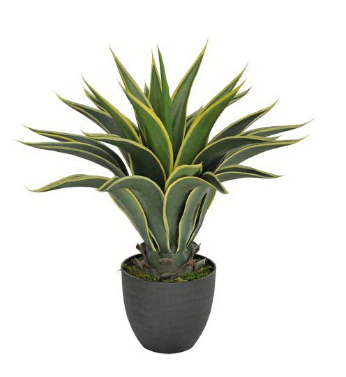 Artificial Agave 60cm