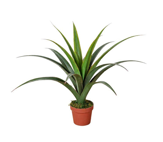 Artificial Dracaena Plants 80cm