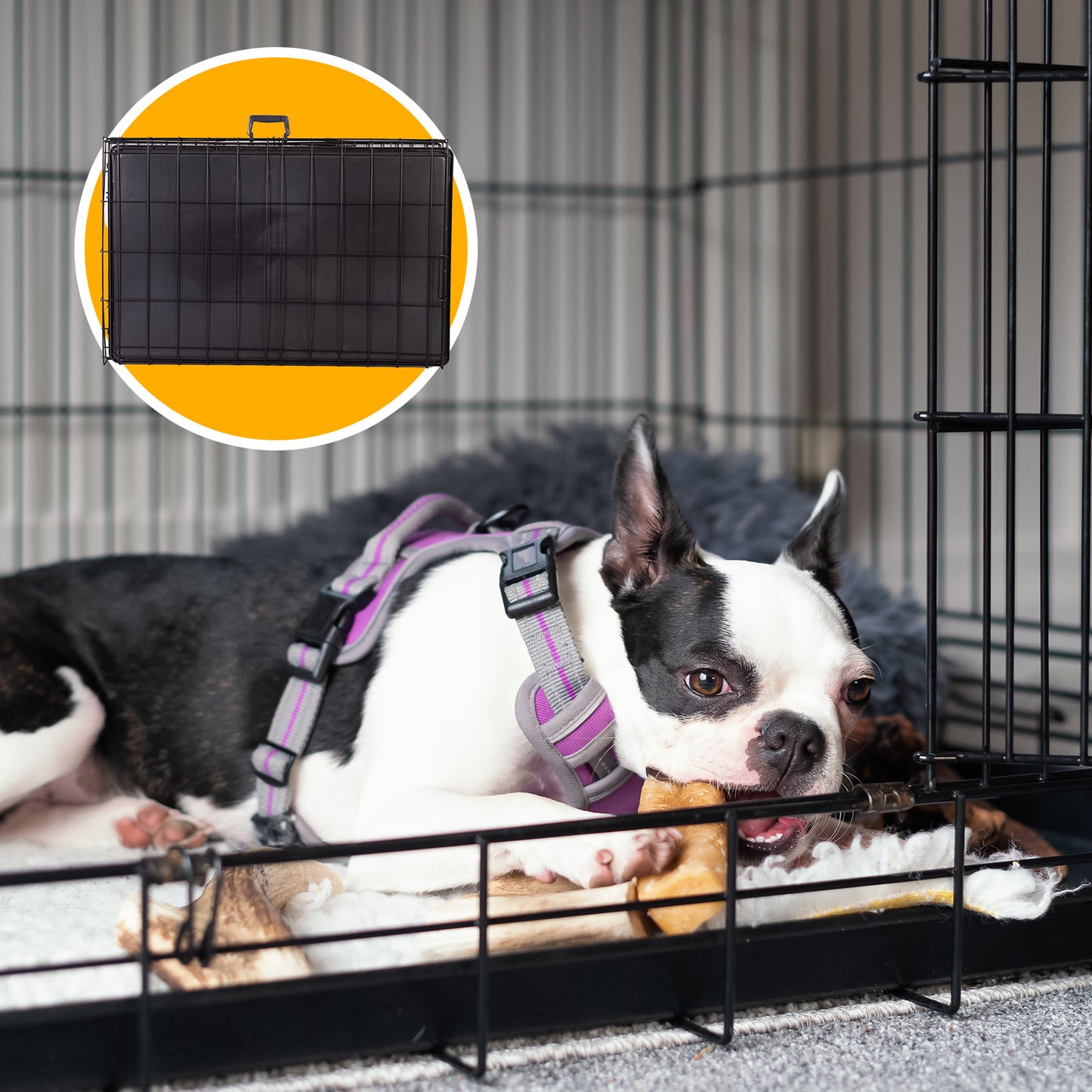 4Paws Dog Cage Pet Crate Cat Puppy Metal Cage ABS Tray Foldable Portable Black - 24" - Black