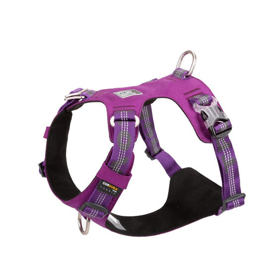 Lightweight 3M reflective Harness Purple M