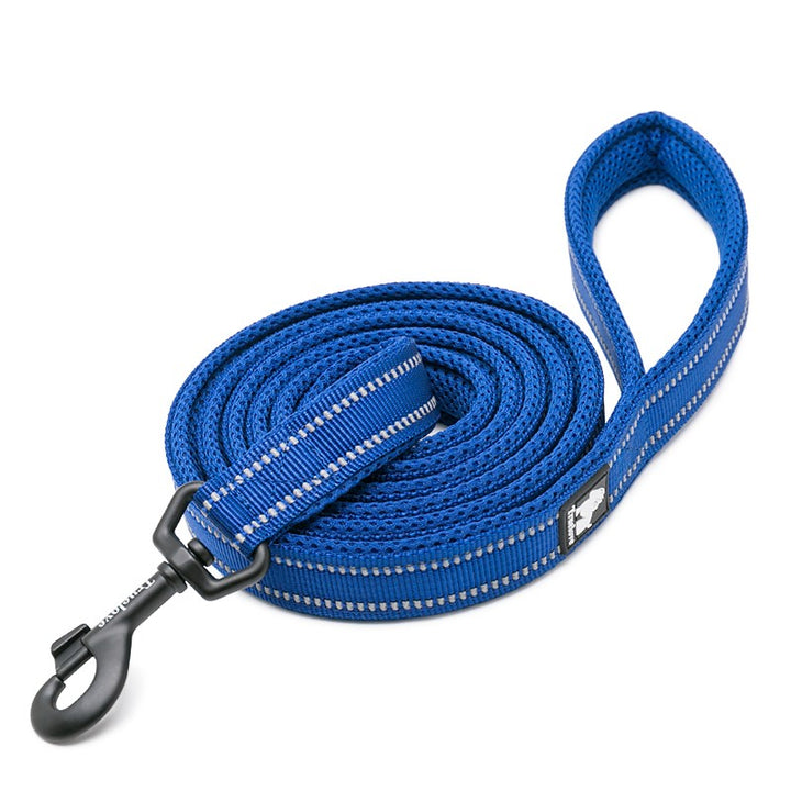 Reflective Pet Leash 2 meters Royal Blue L