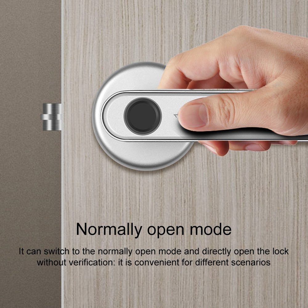 Smart Fingerprint Door Lock Electronic Handle Digital Password Bluetooth Key APP