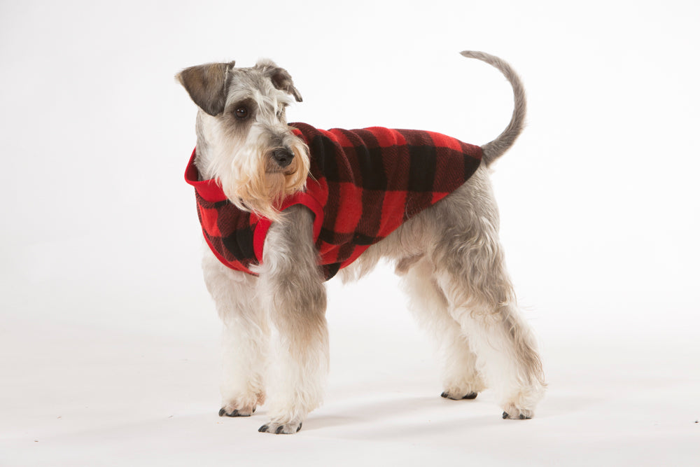 Red Check Dog Pyjamas 35cm