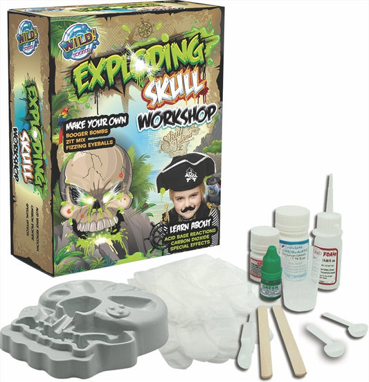 Exploding Skull Workshop