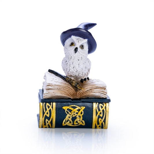 Snowy Owl Book Trinket Box