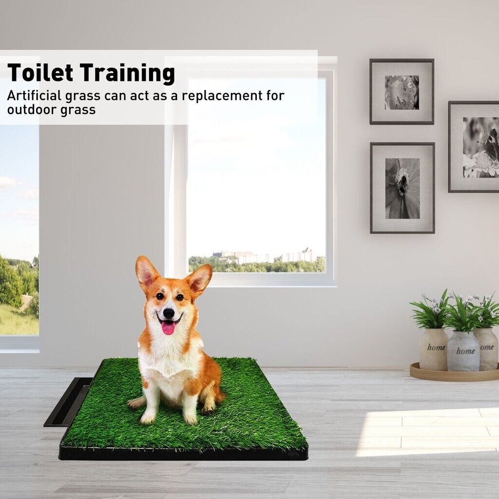 Floofi Pet Grass Training Potty 2 Piece Set FI-LM-111-FE