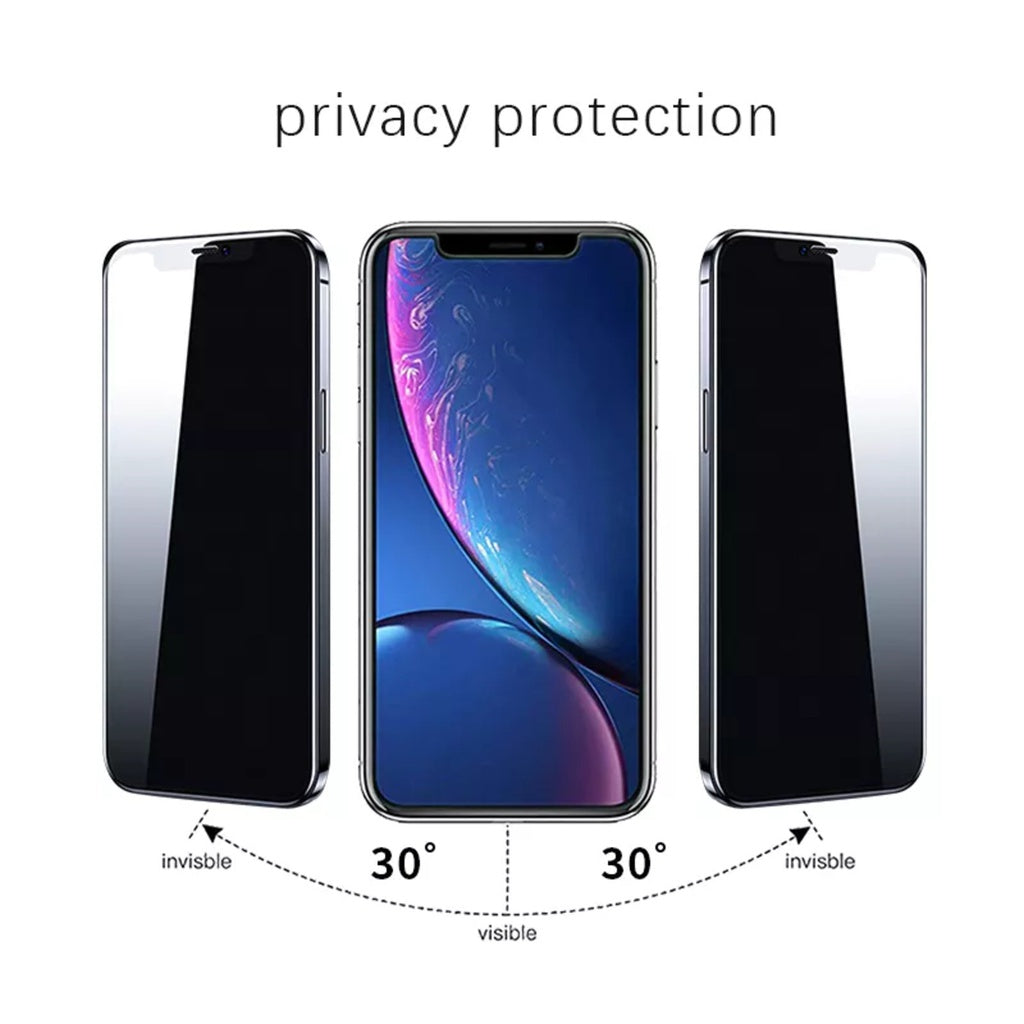 VOCTUS iPhone 14 Pro Privacy Temple Glass Screen Protector 2Pcs (Raw) VT-SP-114-DW