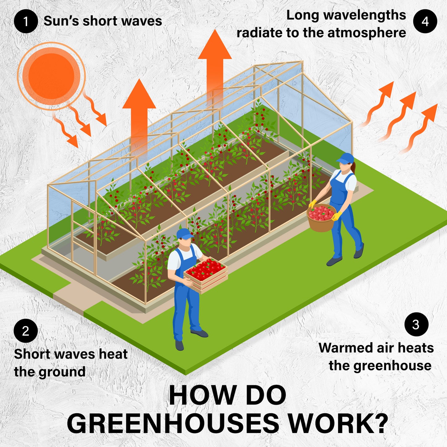 Home Ready Dome Hoop Tunnel Polytunnel 6x3x2M Greenhouse Walk-In Shed PE