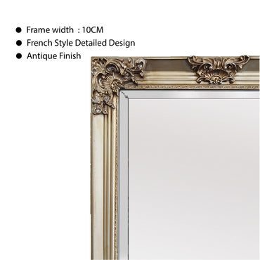 Deluxe French Provincial Ornate Mirror - Champagne - 80cm x 170cm