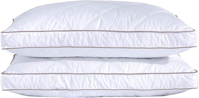 2 x King Size Pillow with free 2 x King pillow cases