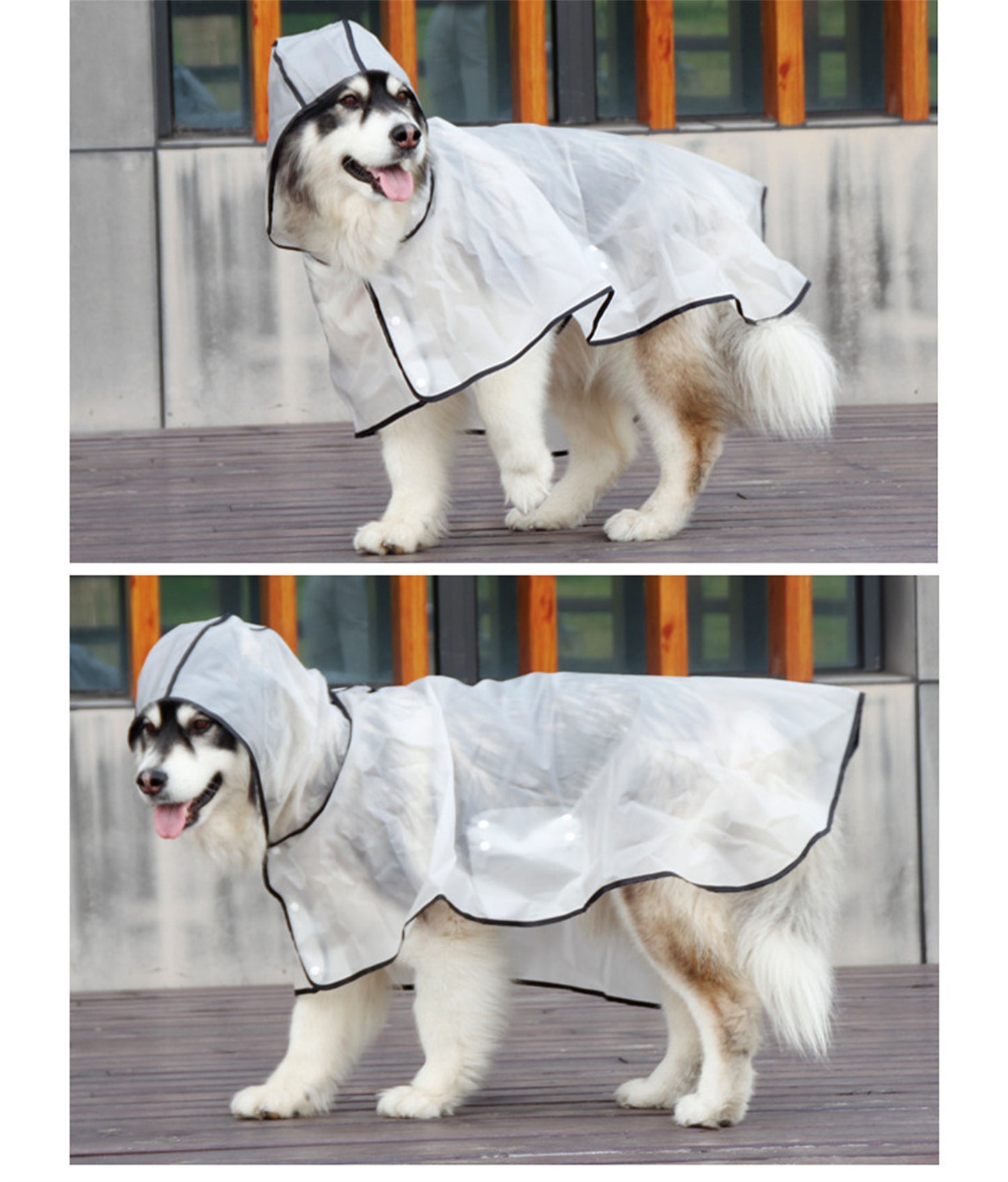 Pawfriends TPU Transparent Pet Cape Raincoat Large Dog Teddy Fado Koki Dog Clothing