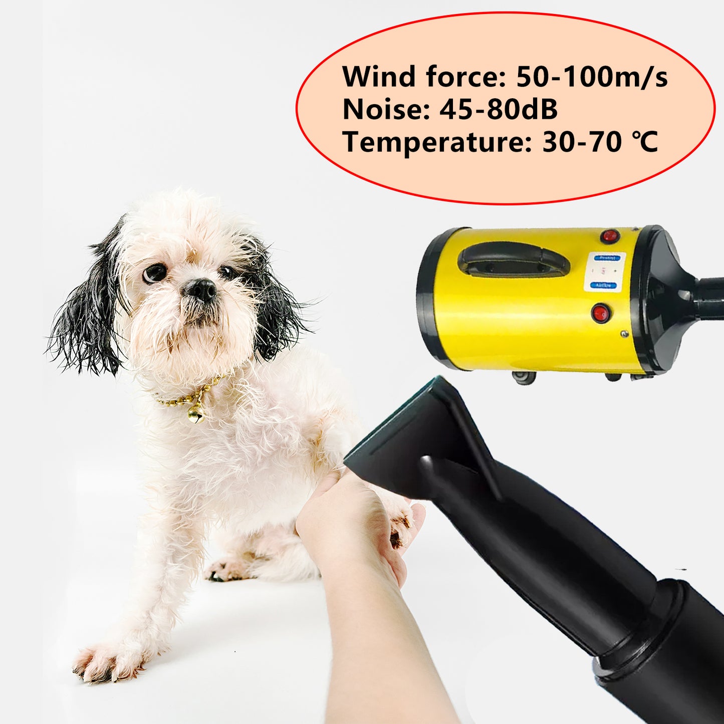 Pawfriends Dog Cat Hair Dryer Grooming Blow Speed 2000W Pet Hairdryer Blower Heater Blaster