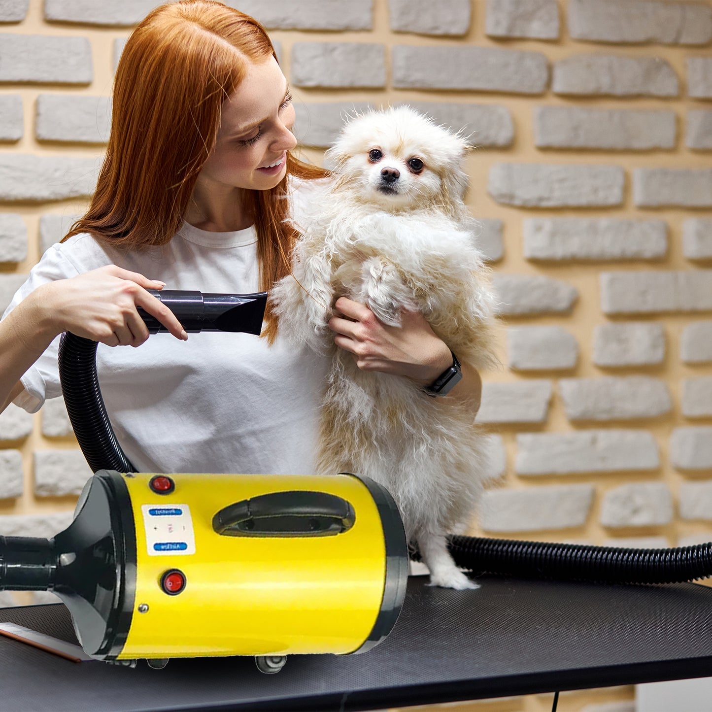 Pawfriends Dog Cat Hair Dryer Grooming Blow Speed 2000W Pet Hairdryer Blower Heater Blaster