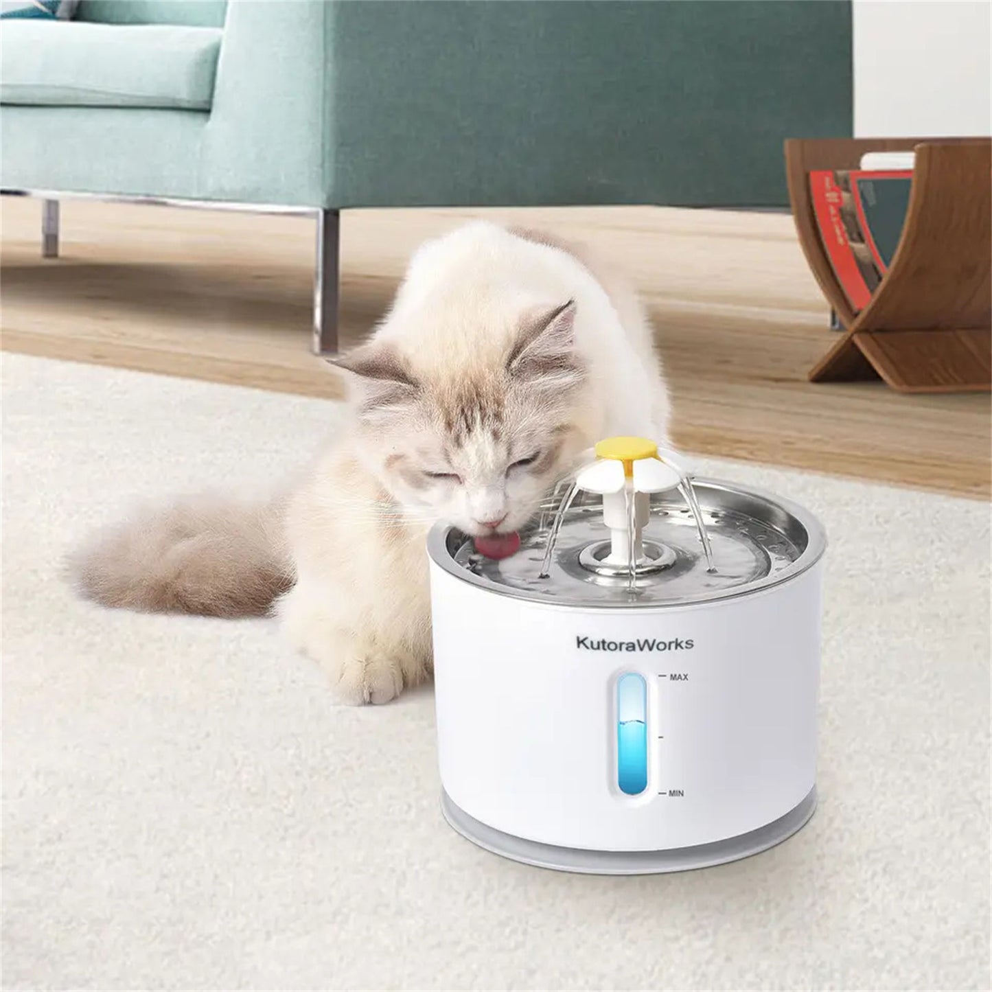 Pawfriends LED Automatic Electric Pet Water feeder Dog Cat Plastics Drinking Dispenser