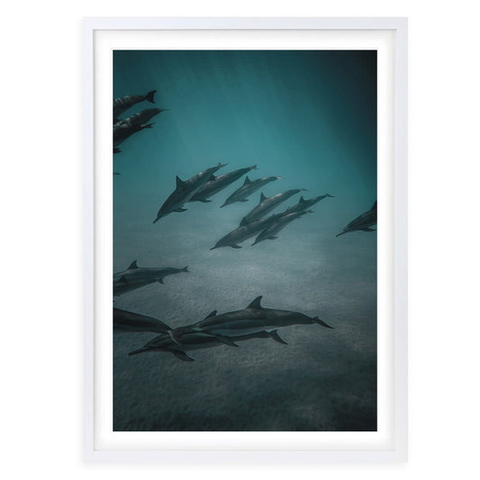 Wall Art's Dolphins In The Deep Large 105cm x 81cm Framed A1 Art Print