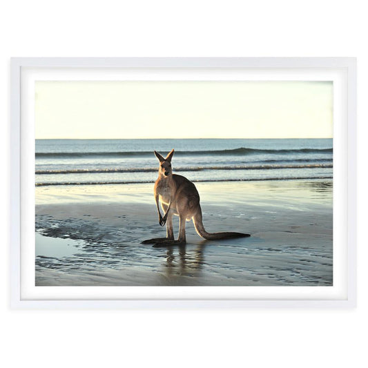 Wall Art's Kangaroo On Beach Large 105cm x 81cm Framed A1 Art Print