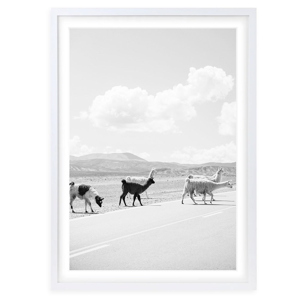 Wall Art's Llamas Crossing Large 105cm x 81cm Framed A1 Art Print