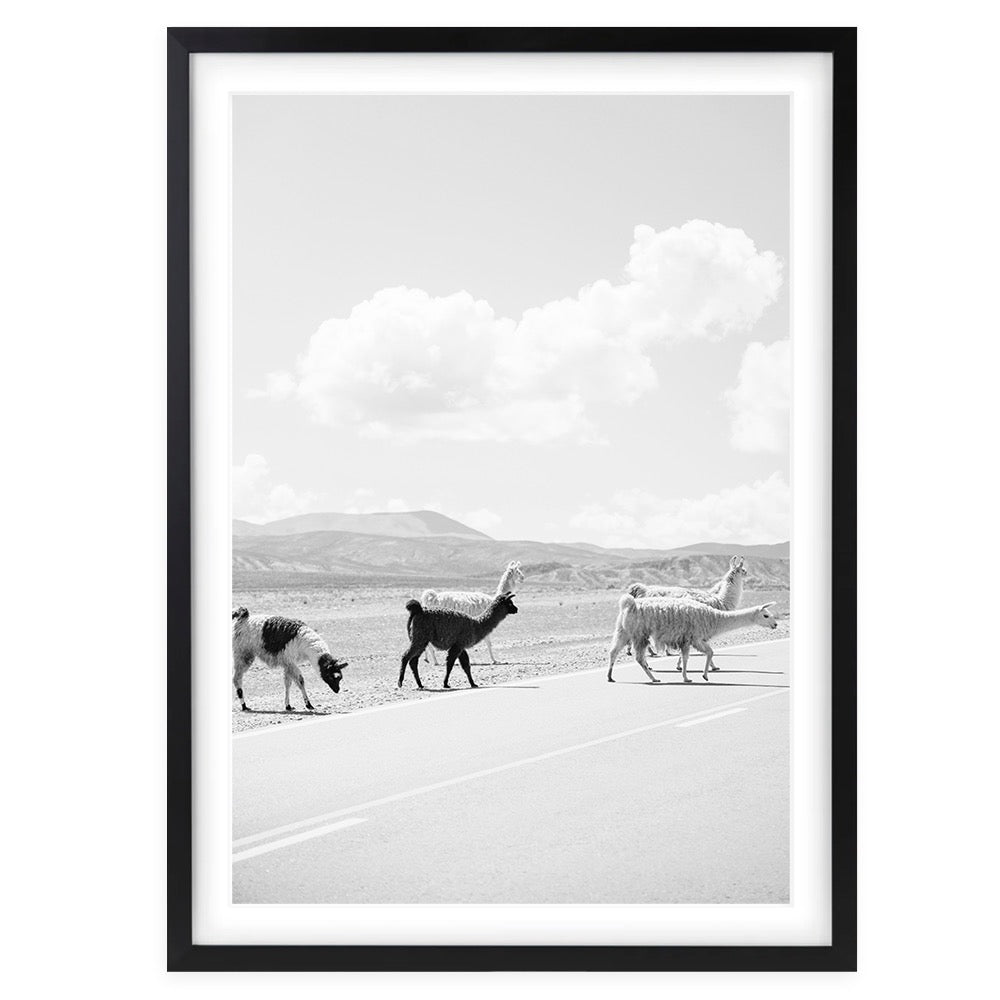 Wall Art's Llamas Crossing Large 105cm x 81cm Framed A1 Art Print