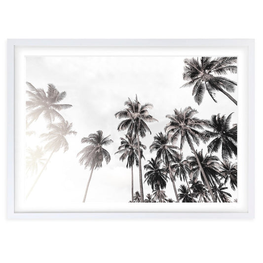 Wall Art's Monochrome Palm Trees Large 105cm x 81cm Framed A1 Art Print