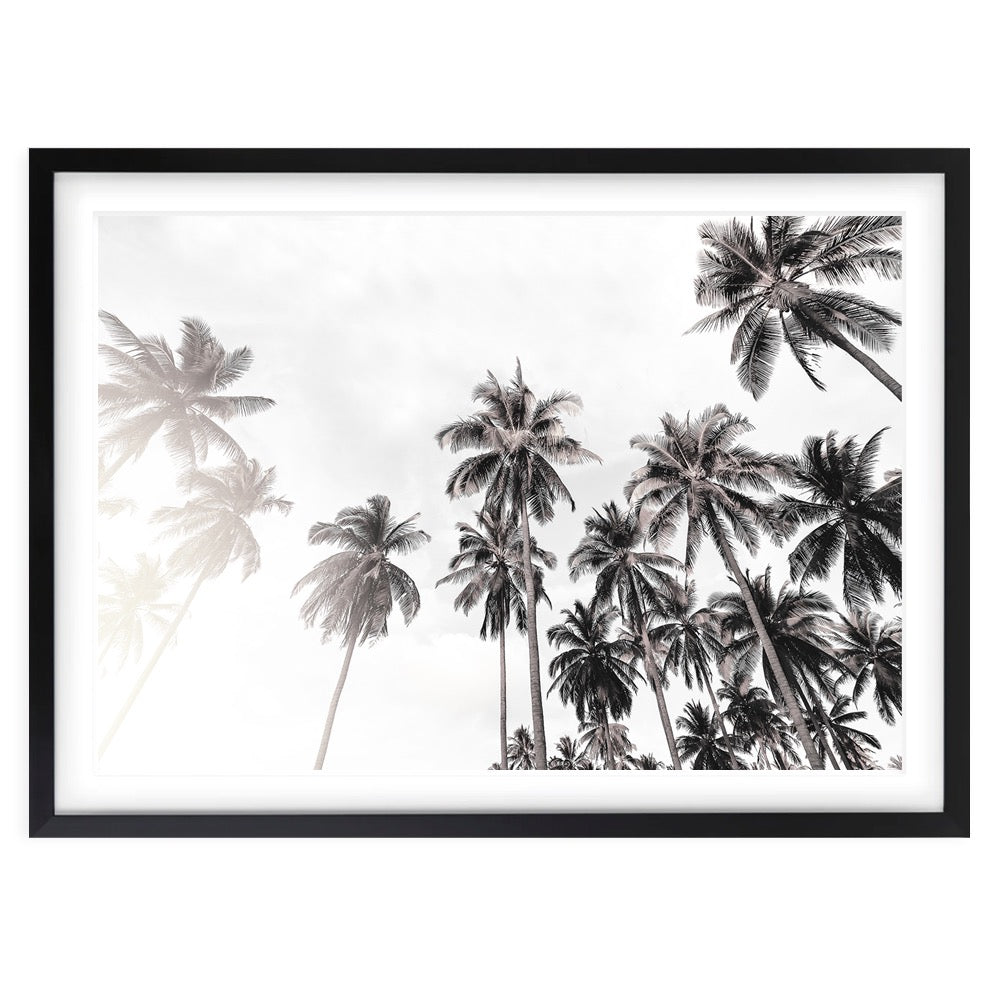 Wall Art's Monochrome Palm Trees Large 105cm x 81cm Framed A1 Art Print