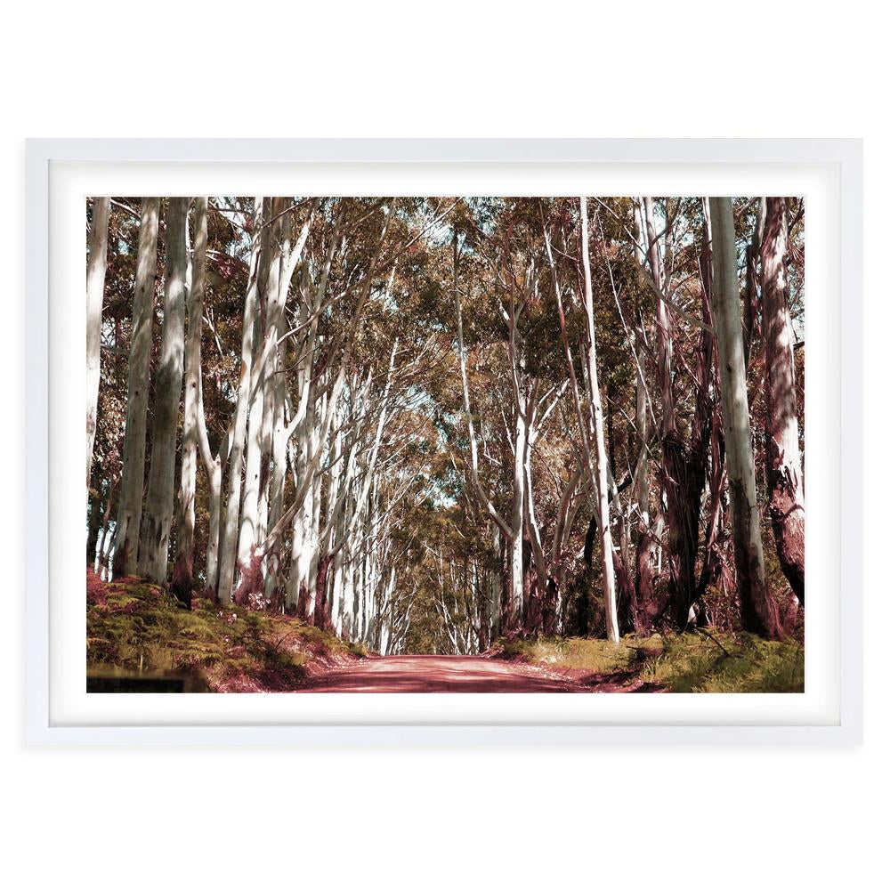 Wall Art's Margaret River Forest Road Large 105cm x 81cm Framed A1 Art Print