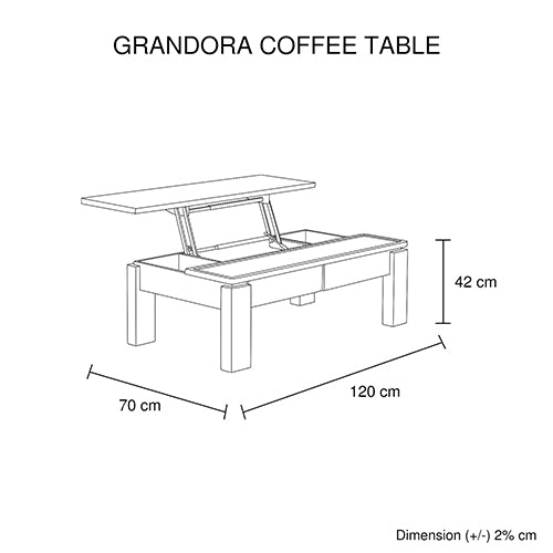 Coffee Table High Gloss Finish Lift Up Top MDF Black & White Colour Interior Storage