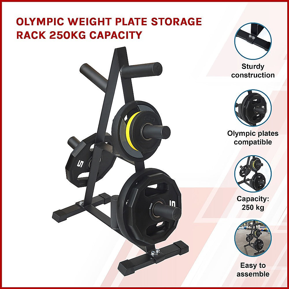 Olympic Weight Plate Storage Rack 250kg Capacity