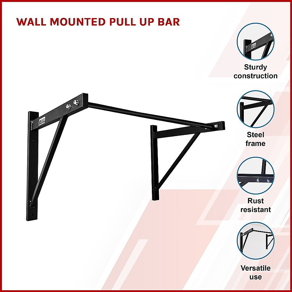 Wall Mounted Pull Up Bar