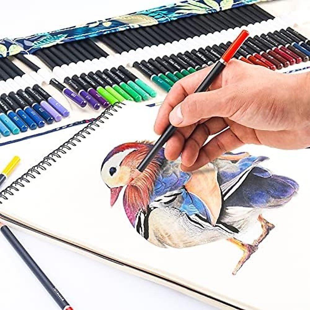 Coloured Pencils Colouring Artist Sketching Drawing for Kids Adults