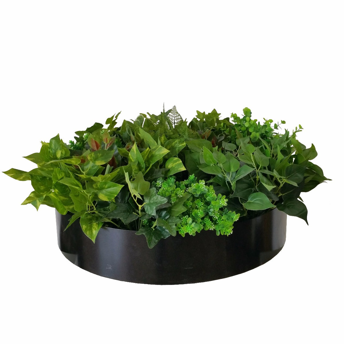 Artificial Green Wall Disk Art 60cm - Mixed Fern & Ivy