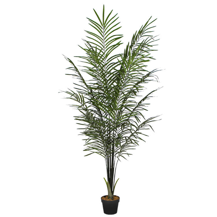 Artificial Areca Palm Black Trunks 190 cm